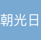 上海朝光日国际物流有限公司